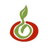 Great Ciao Inc - Business Consulting in Minneapolis