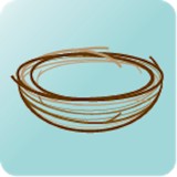 Empty the Nest - Cleaning Services in Burnsville
