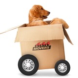 AAA Movers Inc - Movers & Removals in Minneapolis