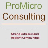 Promicro Consulting LLC - Business Consulting in Minneapolis