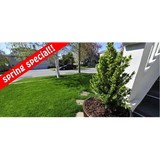 Tpc Landscape - Landscape Architects in Burnsville