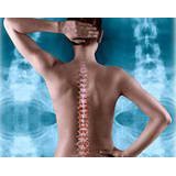 Sailer Chiropractic Center- Tonia M. Sailer, D.C. - Chiropractors in Burnsville