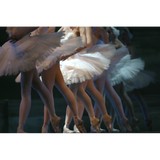 Belle Ballet - Dance Schools in Stillwater