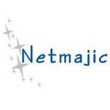 Netmajic Inc - Web Design & Development in Lakeville