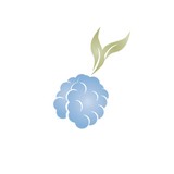 Mulberry's Garment Care - Other in Hopkins