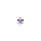 Boy Scouts of America - Other in Sartell