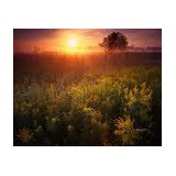 Joseph G. Maternowski Attorney - Solicitors & Lawyers in Minneapolis
