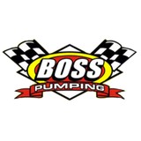 Boss Pumping - Other in Anoka
