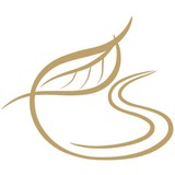 Bergren Family Chiropractic pa - Chiropractors in Grand Rapids