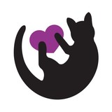 Feline Rescue - Pet Services in Saint Paul