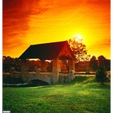 Stonebridge Village Poa - Other in Reeds Spring