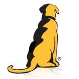 Yellow Dog Production LLC - Marketing in Chesterfield
