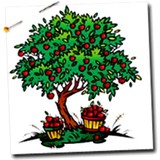 Appletree Quilting & Viking Ce - Fabric Stores in Columbia