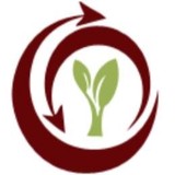 All About Trees - Tree Services in Springfield