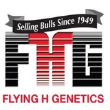 Flying H Genetics - Other in Lowry City