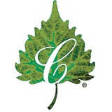 Chateau on the Lake - Resorts in Branson