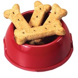 Standing OBEYtion Dog Rehabilitation - Pet/Animal Training in Springfield