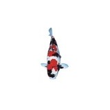 Razorbackkoi & Water Gardens - Landscaping in Cassville
