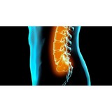Mehringer Chiropractic - Chiropractors in Washington