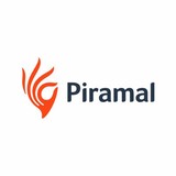 Piramal Glass International Limited - Other in Park Hills
