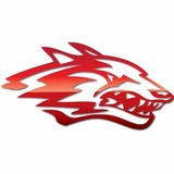 Reeds Spring Superintendent's - Other in Reeds Spring