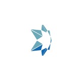 Tessellon Inc - Business Consulting in Chesterfield