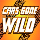 Cars Gone Wild, LLC - Car Dealers in Kansas City