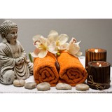 ValaRiea Wellness Center - Weight Loss Centers in Springfield