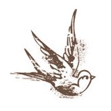 Aviary Cafe And Creperie LLC - Cafes in Springfield