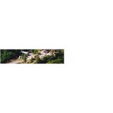 Kohler City Hardwoods/Sawmill - Other in Barnhart