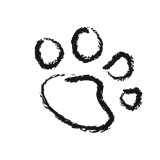 Painting Paw - Painters & Decorators in Chesterfield