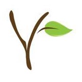 Yleave Cafe LLC - Cafes in Kansas City