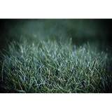Gil Schroeder Sod Sales Inc - Landscape Architects in House Springs