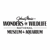 American National Fish - Aquariums in Springfield