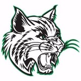 Thayer Senior High School - Other in Thayer