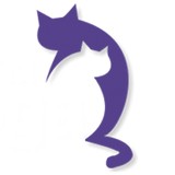 Alleycat Yoga - Yoga in Columbia