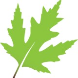 Teacher's Landscaping - Landscaping in Kansas City