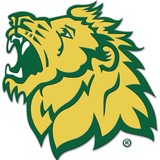 Small Business & Tech Mssu - Business Consulting in Joplin