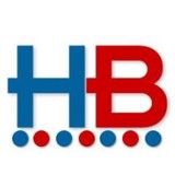 Blitz Technology Group LLC - Web Design & Development in Springfield