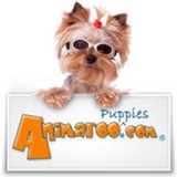 Animaroo.com LLC - Pet Services in Springfield