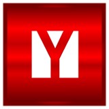 Young Real Esate LLC - Other in Dudley