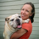Millersburg Veterinary Hosp - Veterinarians/Vets in Fulton