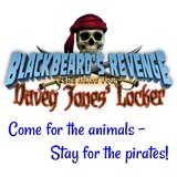 Branson's Wild World Inc - Arcades in Branson