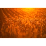 Curt Dennison Photography - Commercial Photography in Washington