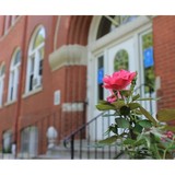 Home For Little Wanderers - Other in Saint Joseph