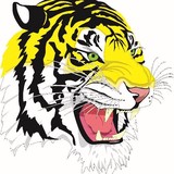 Arcadia Valley R-Ii School District Building Corporation - Other in Ironton