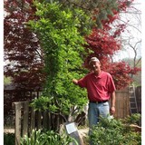 Zick's Great Outdoors Nursery - Other in Ballwin