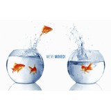 Crumpton Brent J DDS - Dentists in Tupelo