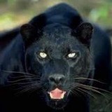 Amory Special Education Dir - Other in Amory