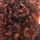 Shear Images Salon, 410 East Pine Street Ellisville, Ms 39437 - Other in Ellisville